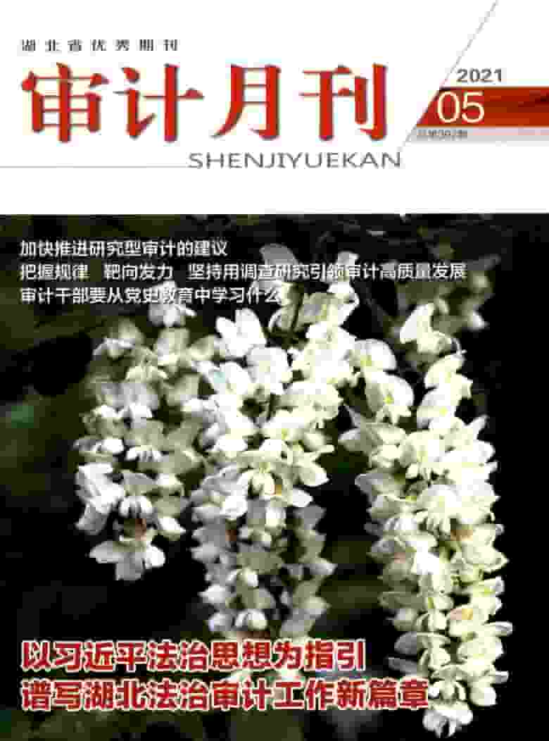 审计月刊杂志封面