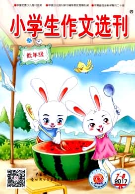 小学生作文选刊杂志封面