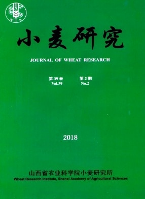 小麦研究杂志封面