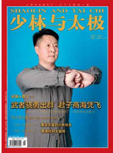 少林与太极杂志封面