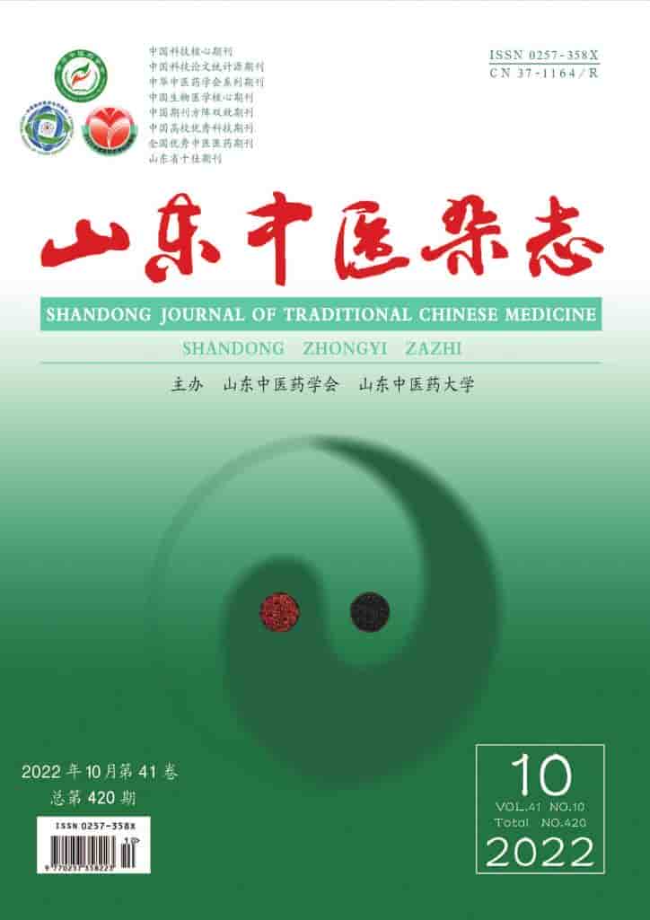 山东中医杂志封面