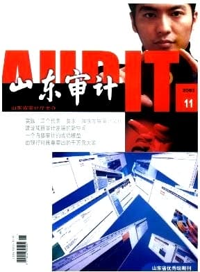 山东审计杂志封面