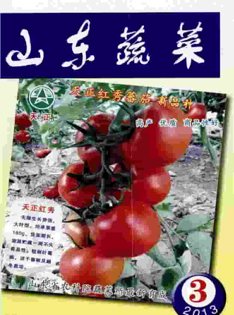 山东蔬菜杂志封面