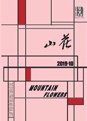 山花杂志封面