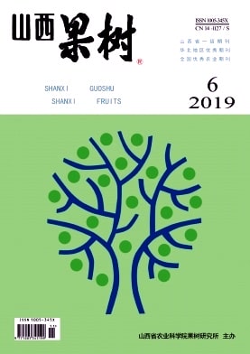山西果树杂志封面