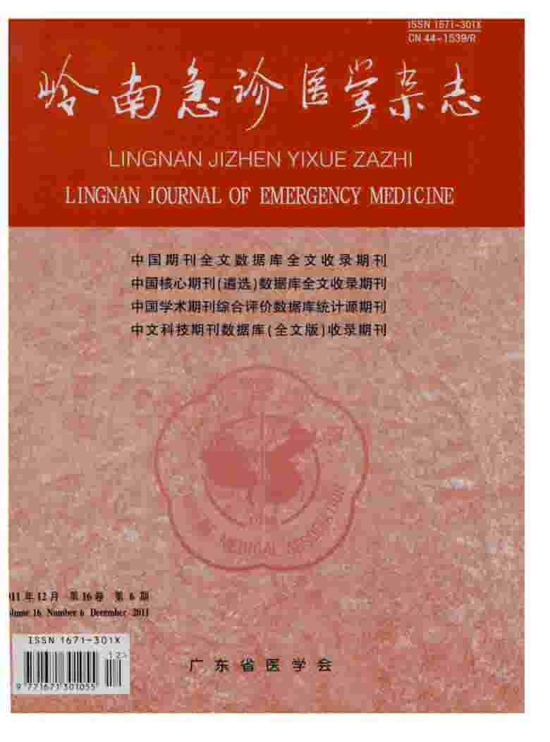 岭南急诊医学杂志封面
