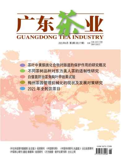 广东茶业杂志封面