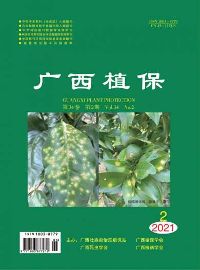 广西植保杂志封面