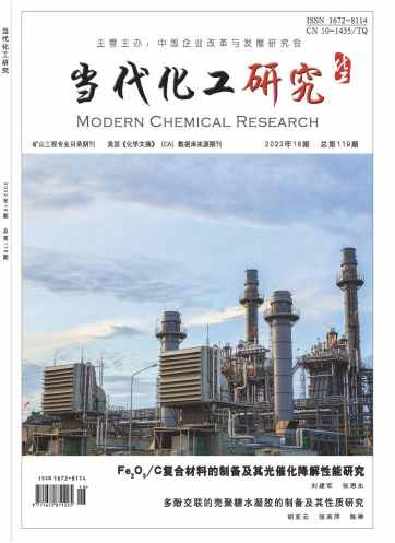 当代化工研究杂志封面