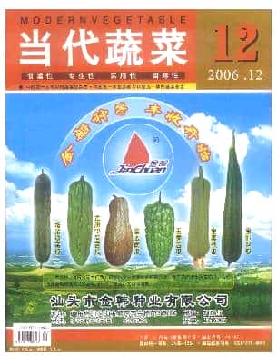 当代蔬菜杂志封面