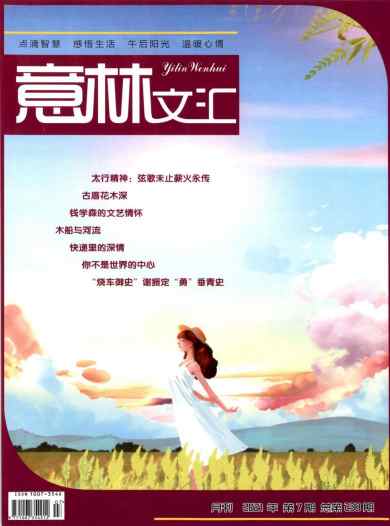 意林文汇杂志封面