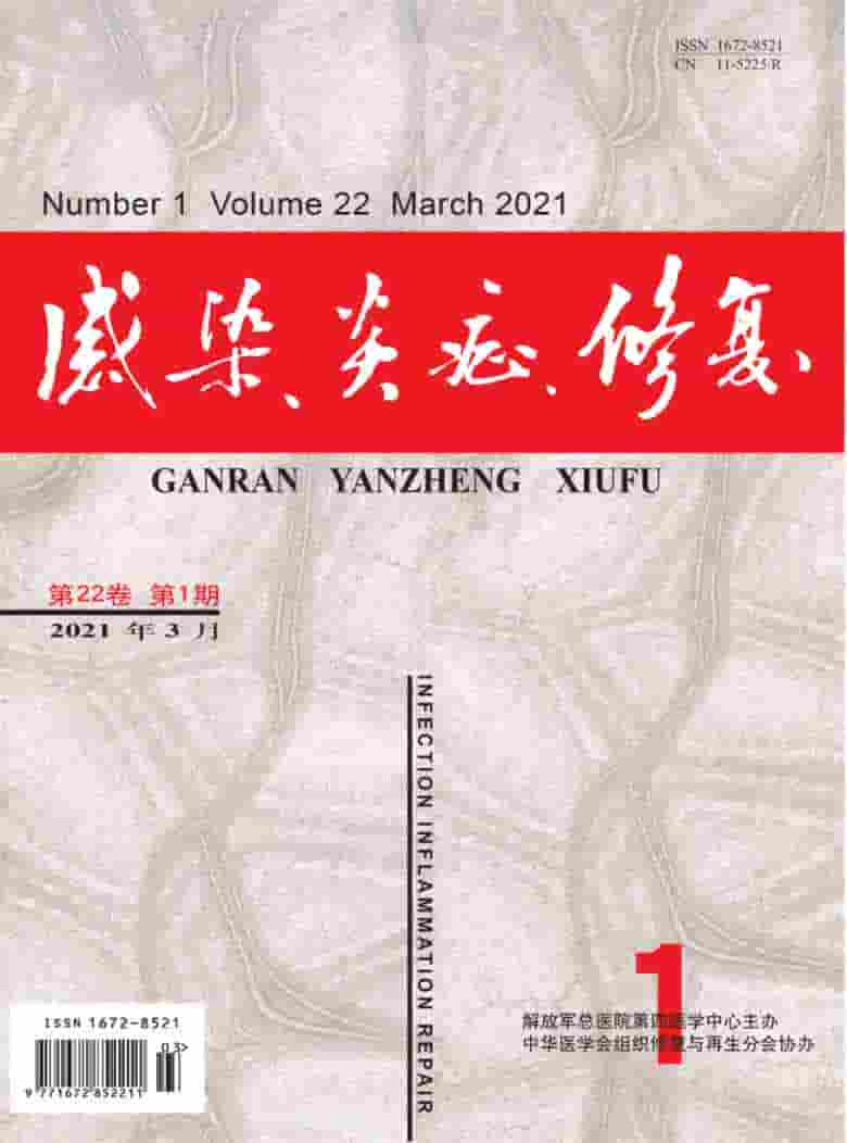 感染.炎症.修复杂志封面