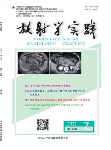 放射学实践杂志封面