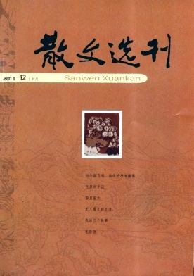 散文选刊杂志封面
