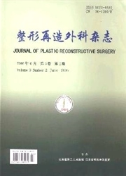 整形再造外科杂志封面