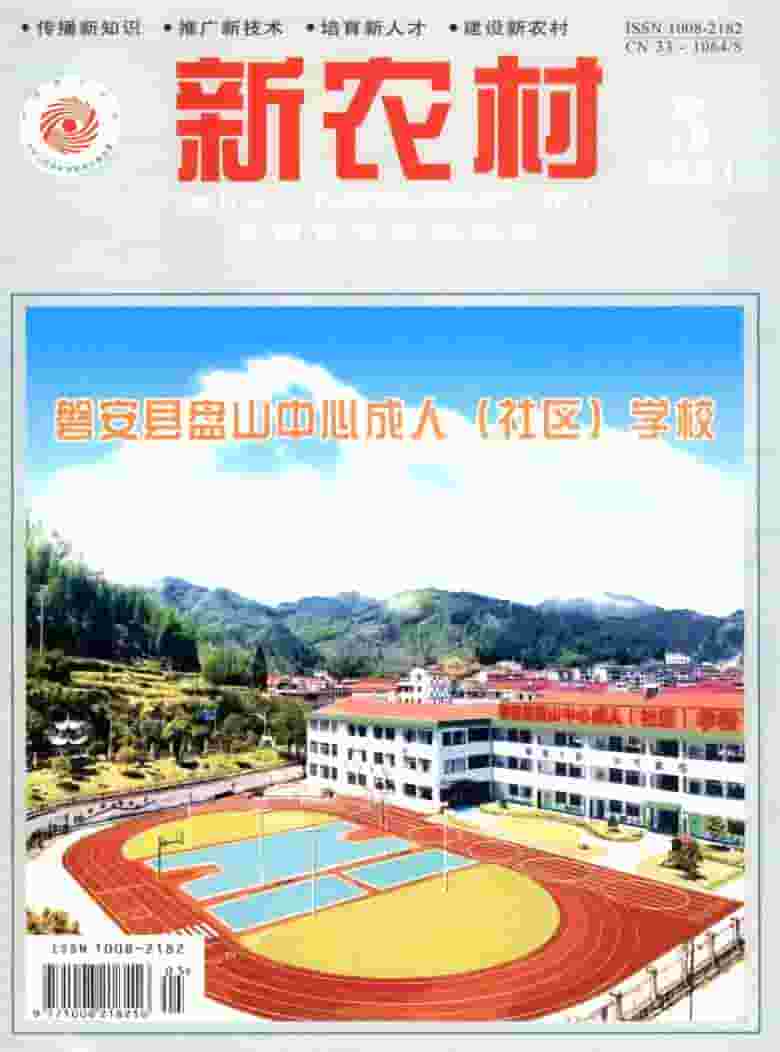 新农村杂志封面