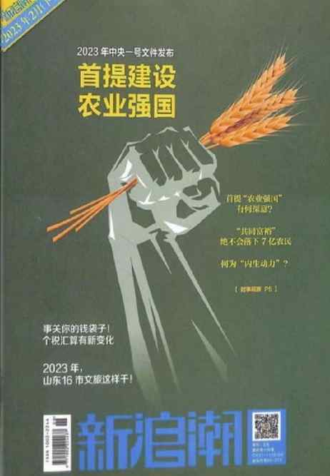 新浪潮杂志封面