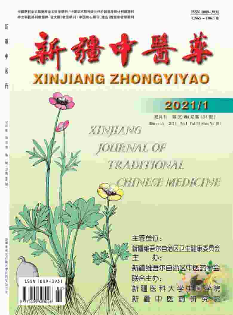 新疆中医药杂志封面