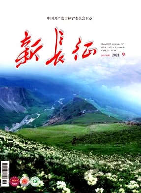 新长征杂志封面