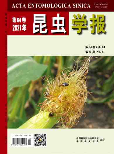 昆虫学报杂志封面