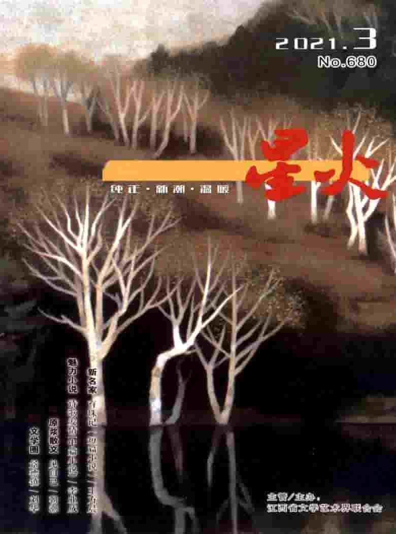 星火杂志封面