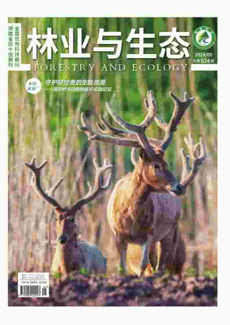 林业与生态杂志封面