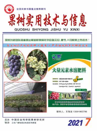 果树实用技术与信息杂志封面