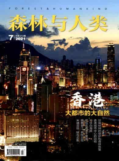 森林与人类杂志封面