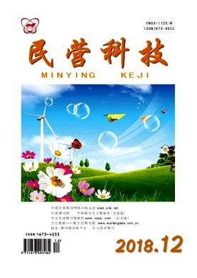 民营科技杂志封面