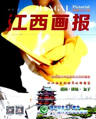 江西画报杂志封面