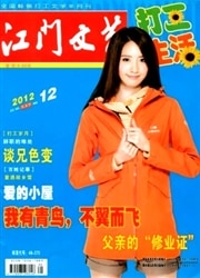 江门文艺杂志封面