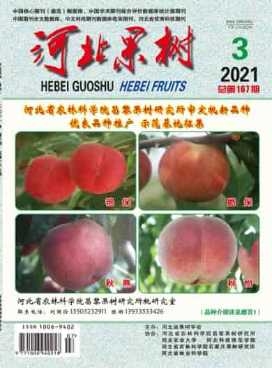河北果树杂志封面