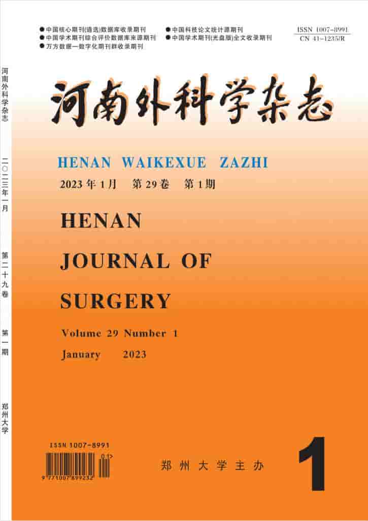 河南外科学杂志杂志封面