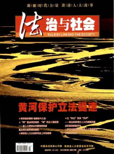 法治与社会杂志封面