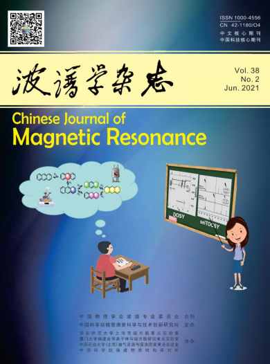 波谱学杂志封面