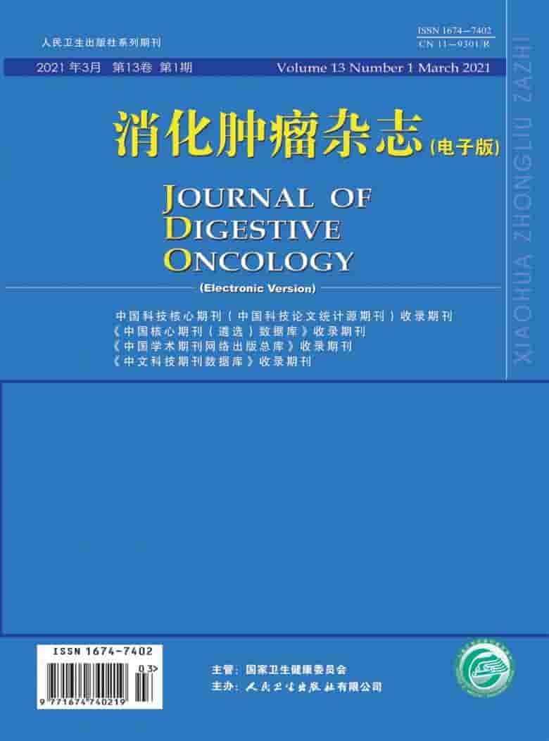 消化肿瘤杂志封面