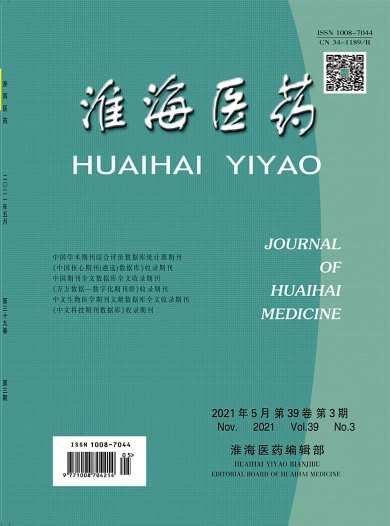 淮海医药杂志封面