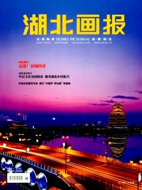 湖北画报杂志封面