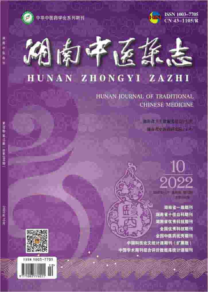 湖南中医杂志封面