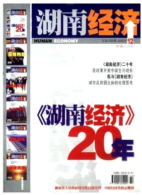 湖南经济杂志封面