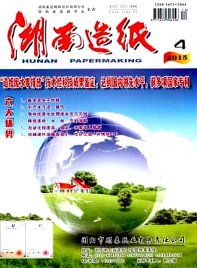 湖南造纸杂志封面