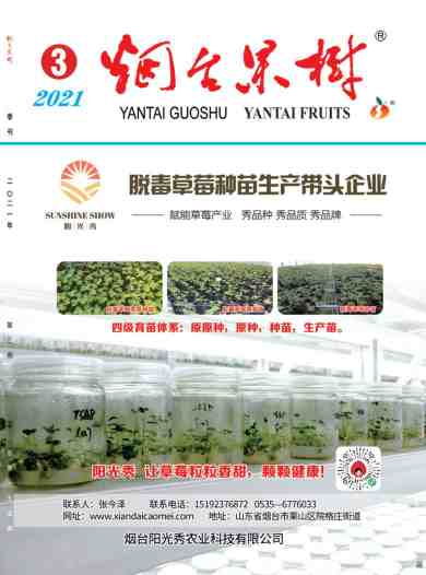 烟台果树杂志封面