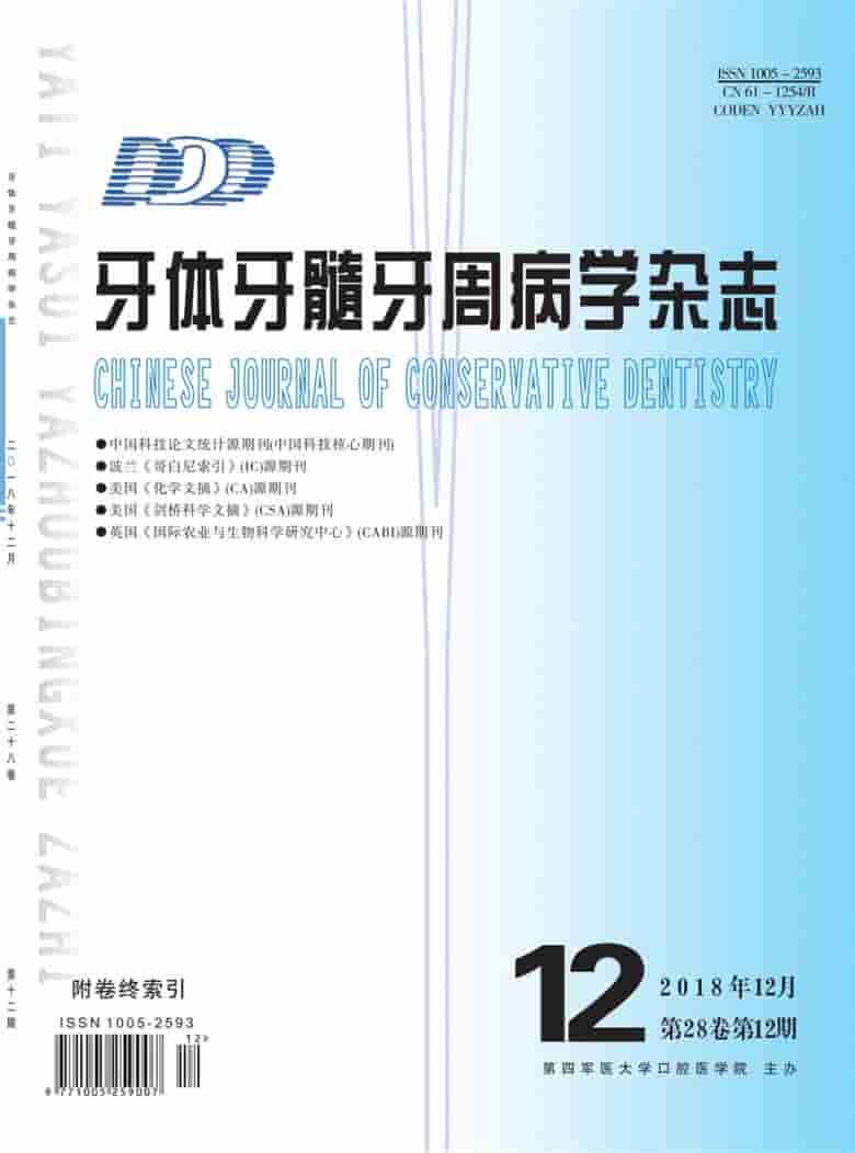 牙体牙髓牙周病学杂志封面