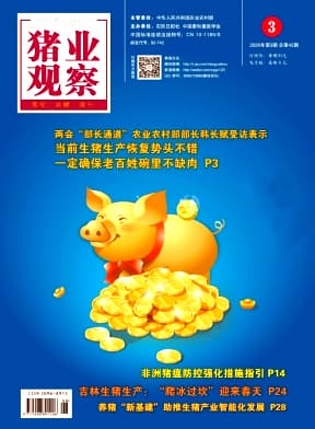 猪业观察杂志封面