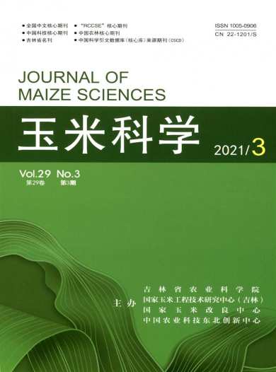 玉米科学杂志封面