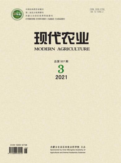现代农业杂志封面