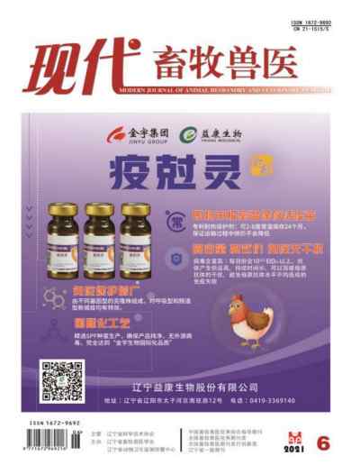 现代畜牧兽医杂志封面