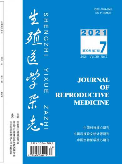 生殖医学杂志封面