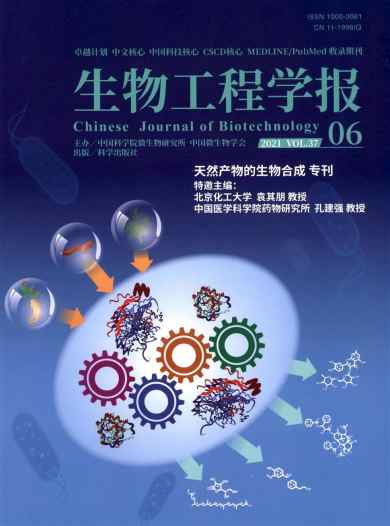 生物工程学报杂志封面