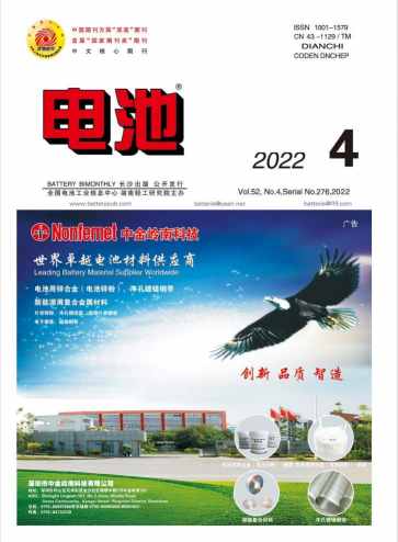 电池杂志封面